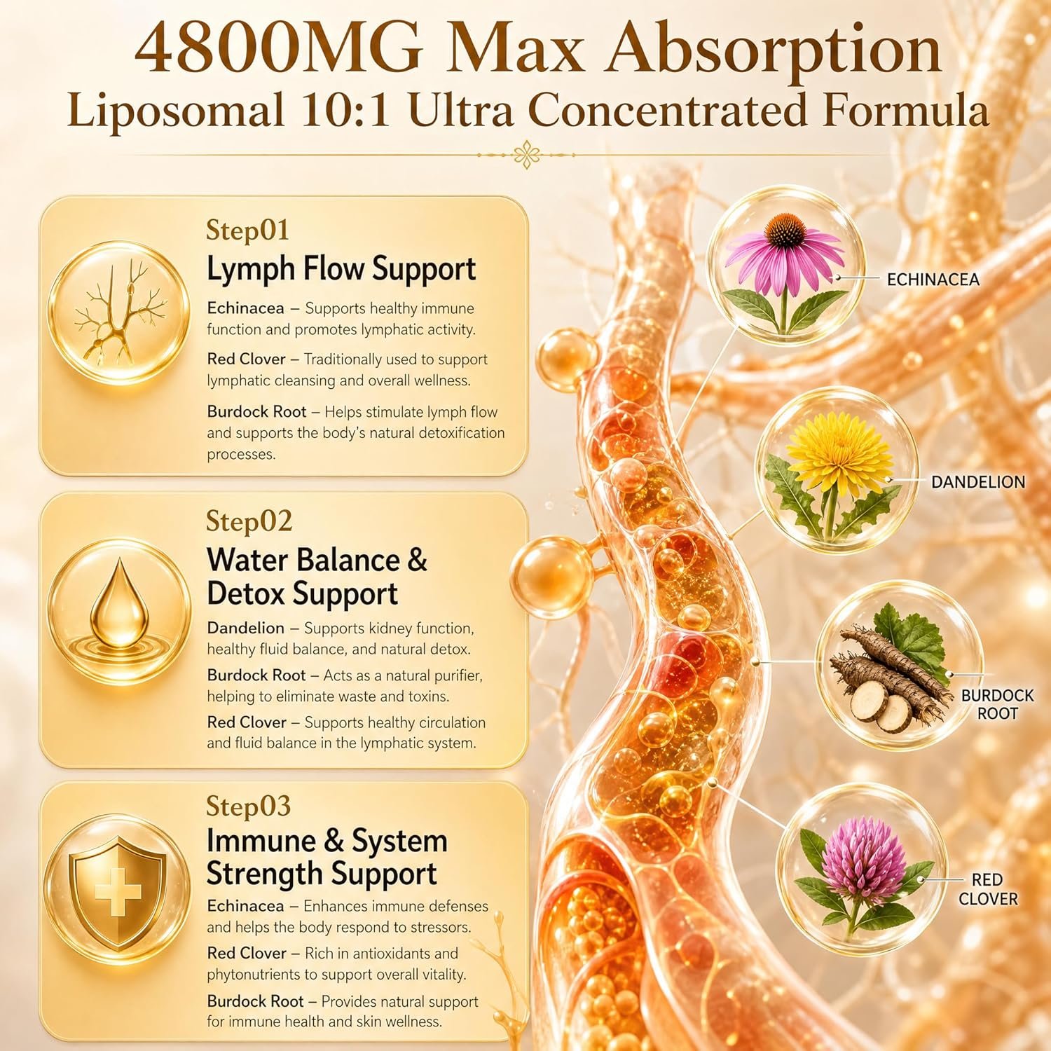 herbal lymph support capsules herbal lymph support capsules