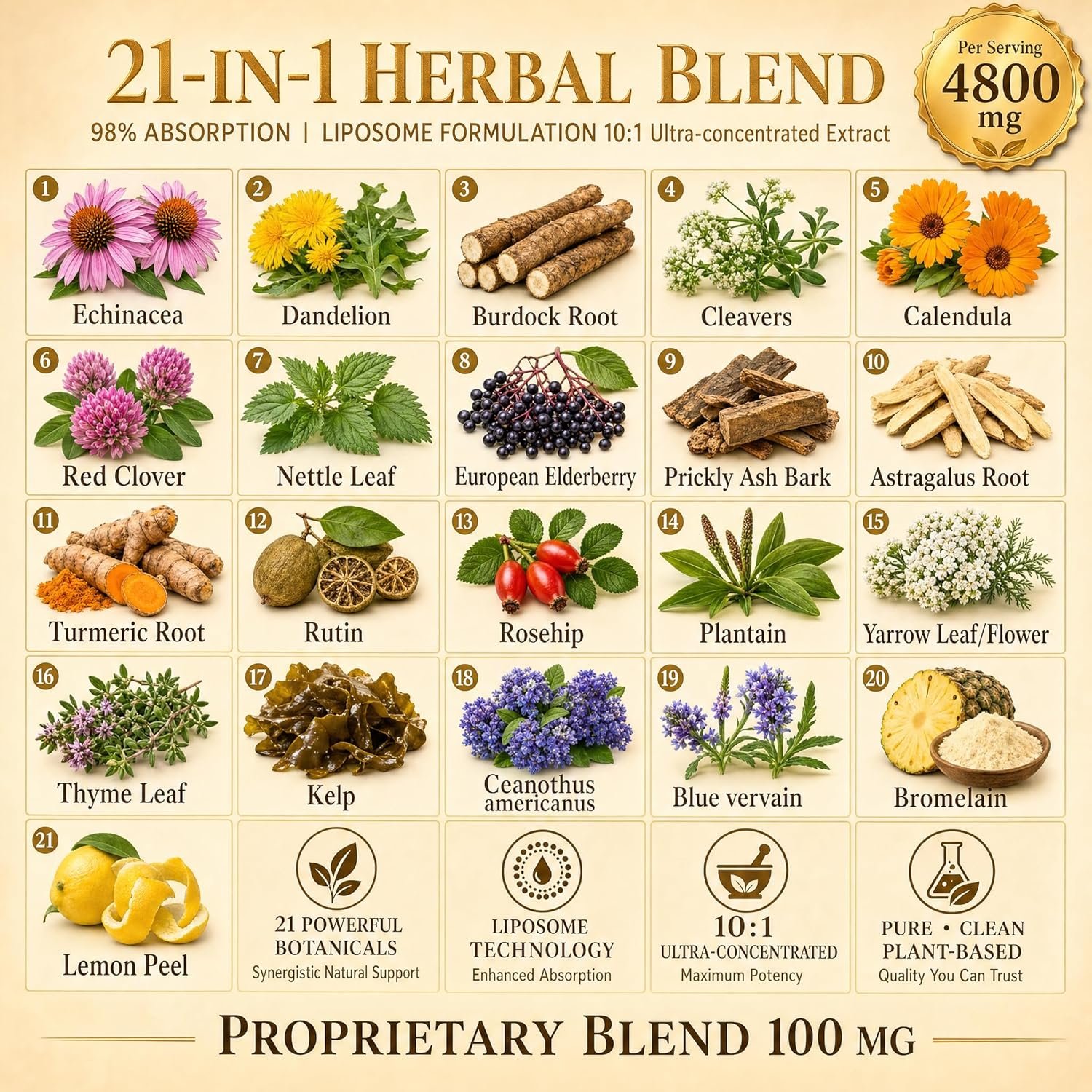 herbal lymph support capsules herbal lymph support capsules