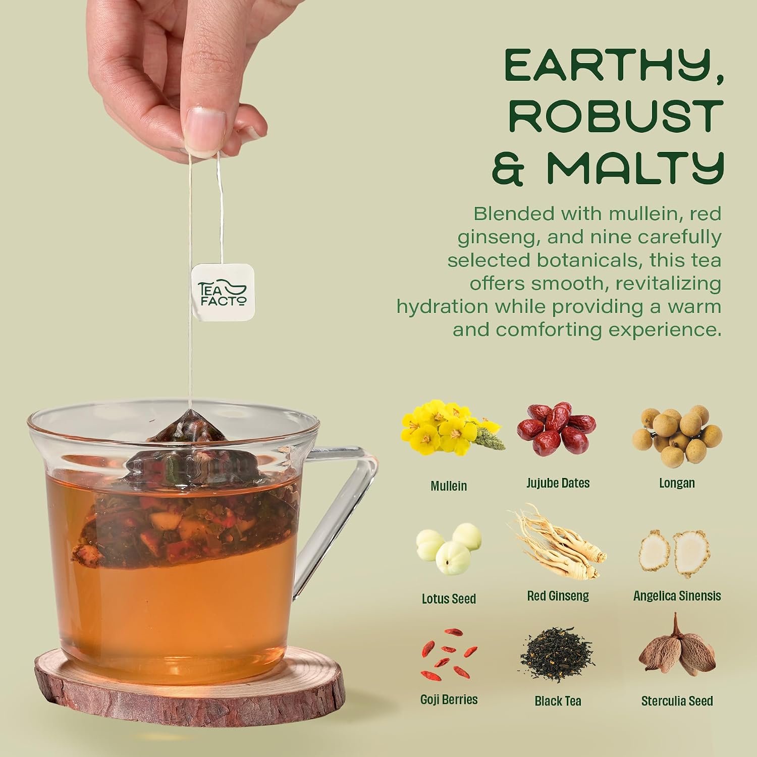 tea facto lung shield mullein lung tea bags tea facto lung shield mullein lung tea bags