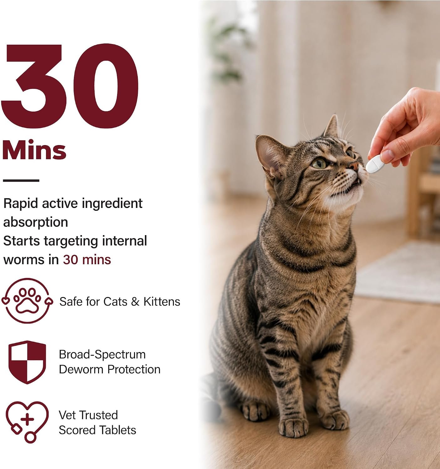 dewormer for cat dewormer for cat