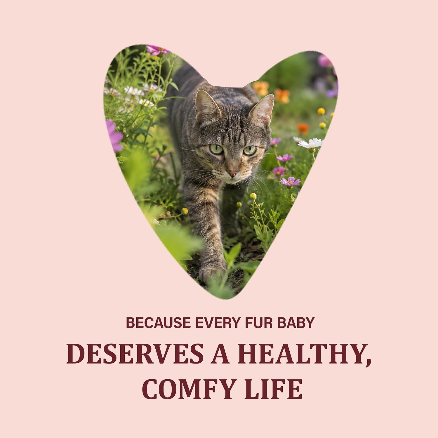dewormer for cat dewormer for cat