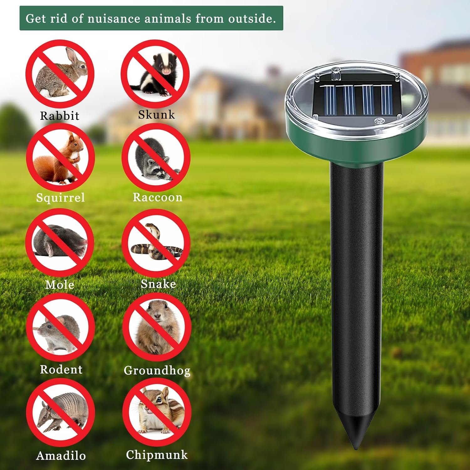 groundhog repeller groundhog repeller