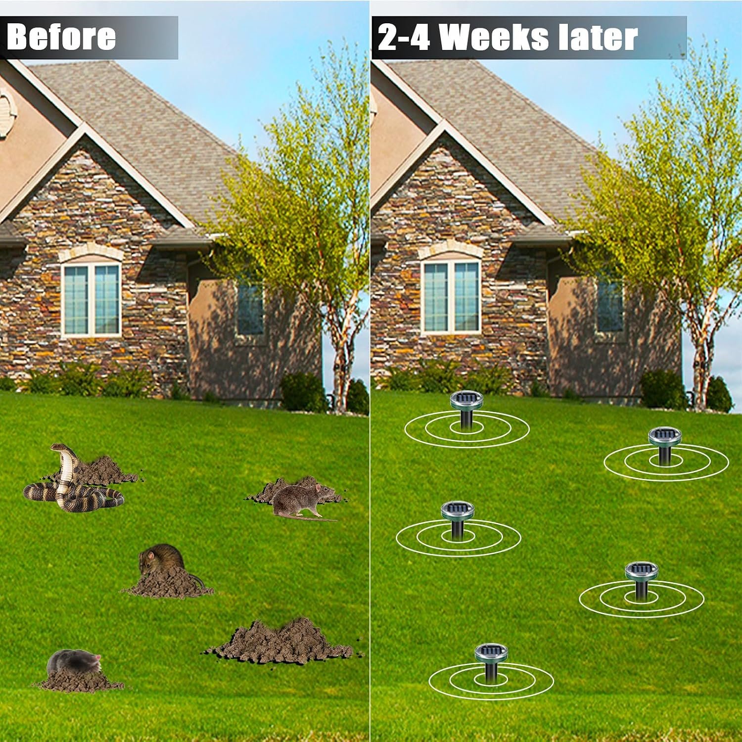 groundhog repeller groundhog repeller